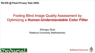 Zhengyu Zhao
Fooling Blind Image Quality Assessment by
Optimizing a Human-Understandable Color Filter
Radboud University (Netherlands)
RU-DS @ Pixel Privacy Task 2020:
 