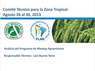 Análisis del Programa de Manejo Agronómico
Responsable Técnico: Luis Bueno Torio
 