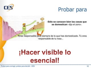 Probar para

                                                  -Sólo se conocen bien las cosas que
                                                      se domestican -dijo el zorro-.




                   -… Eres responsable para siempre de lo que has domesticado. Tú eres
                                        responsable de tu rosa...




Probar para corregir, probar para decidir - CES                                          12
 