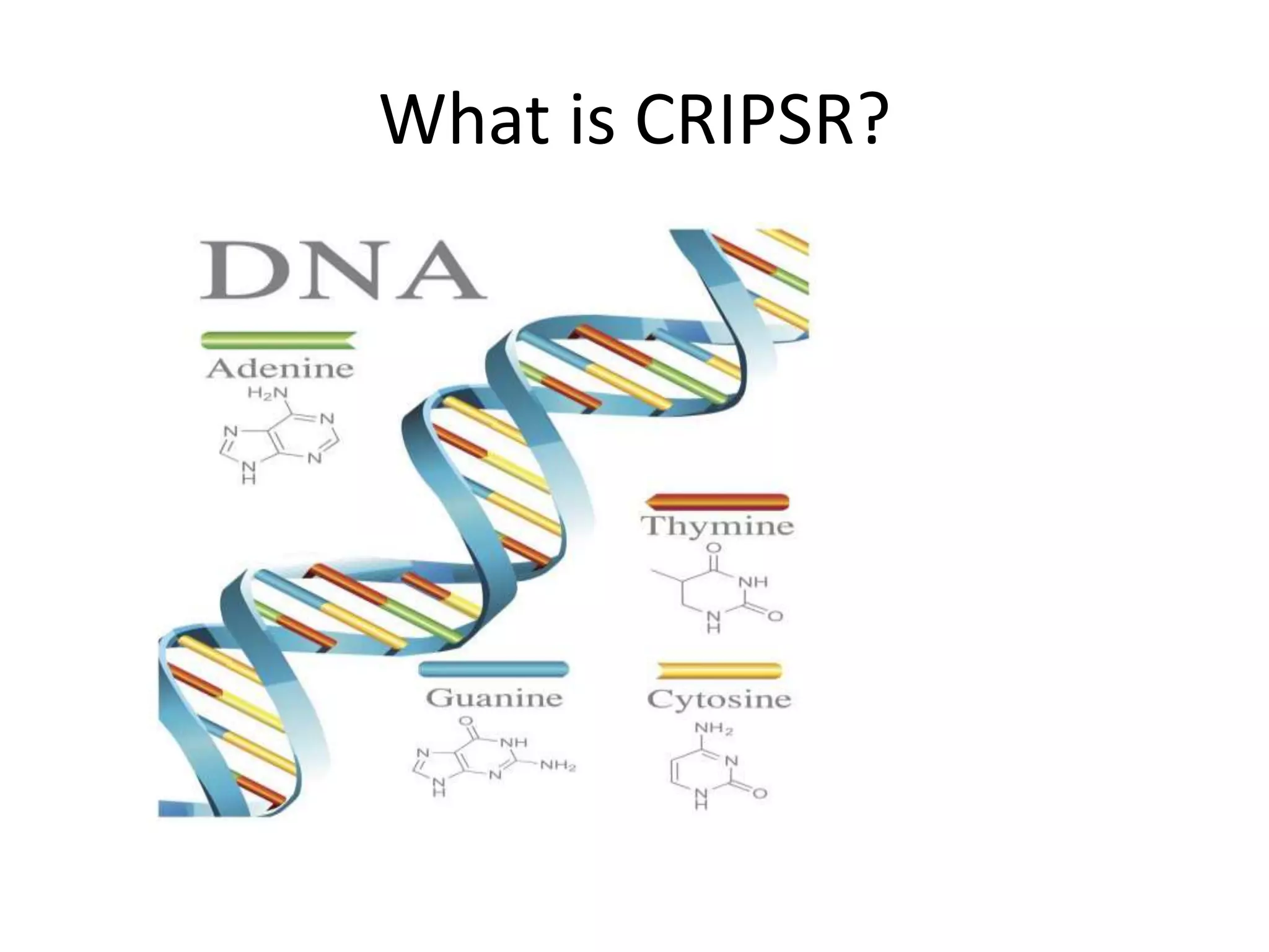 What is CRIPSR?
 