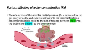 Factors affecting alveolar concentration (Fᴀ)
• The rate of rise of the alveolar partial pressure (Fᴀ - measured by the
gas analyser as the end-tidal value) towards the inspired fractional
concentration (Fi) is equal to the net difference between input into
the alveoli and uptake by the arterial blood
 