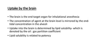 Uptake by the brain
• The brain is the end target organ for inhalational anesthesia
• The concentration of agent at the brain level is mirrored by the end-
tidal concentration in the alveoli
• Uptake into the brain is determined by lipid solubility- which is
denoted by the oil : gas partition coefficient
• Lipid solubility is related to potency
 