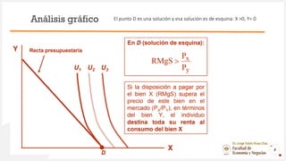 Análisis gráfico
8
Dr. Jorge Pablo Rivas Díaz
El punto D es una solución y esa solución es de esquina: X >0, Y= 0
 