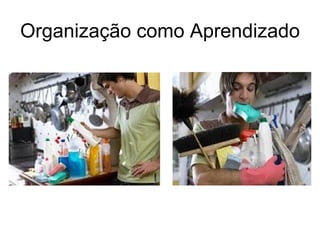 Organização como Aprendizado
 