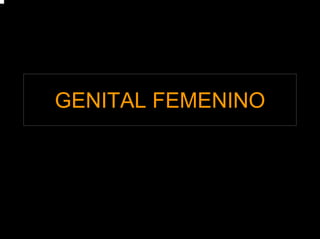 GENITAL FEMENINO
 