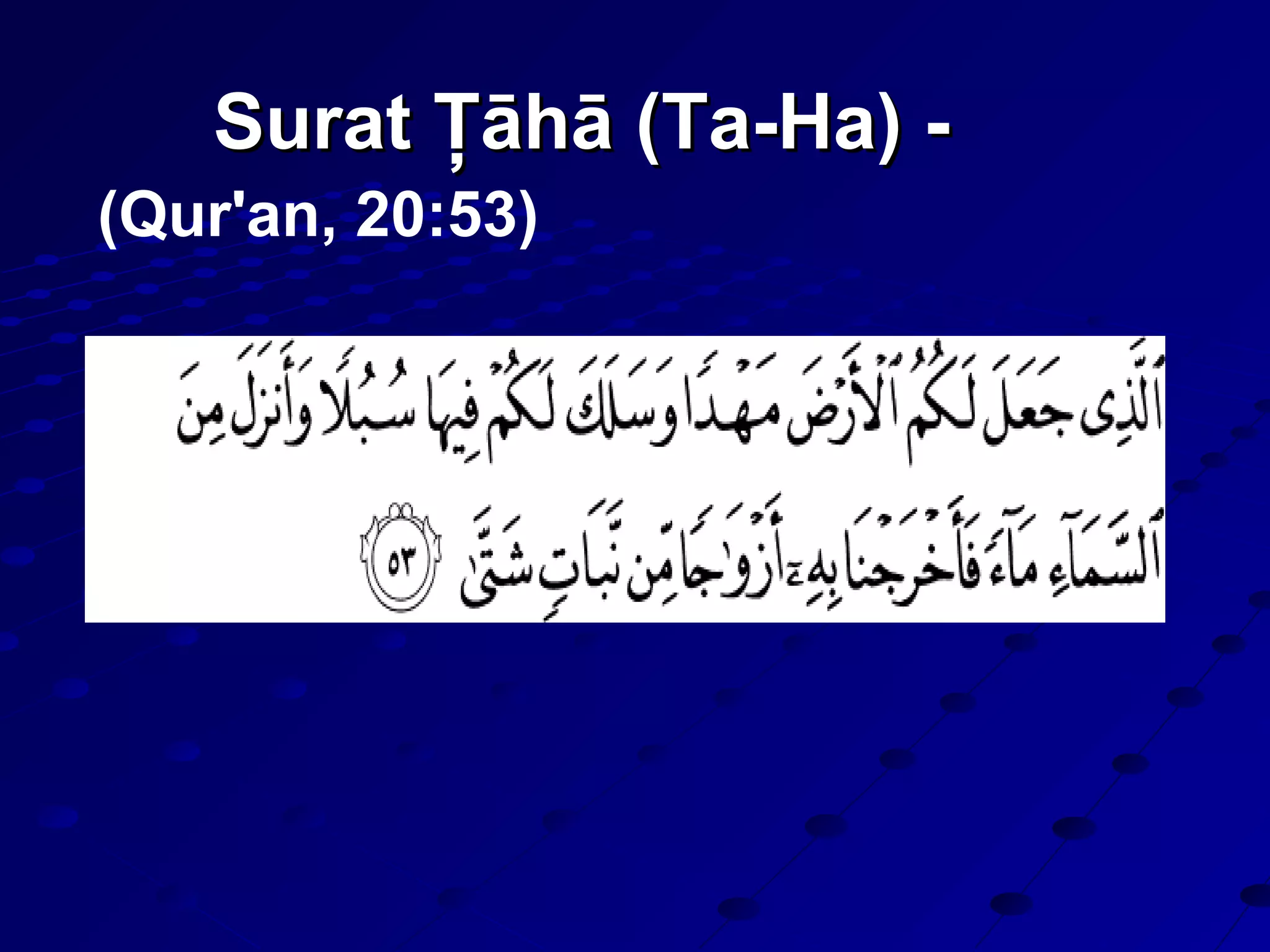 Surat Ţāhā (Ta-Ha) -Surat Ţāhā (Ta-Ha) -
(Qur'an, 20:53)
 