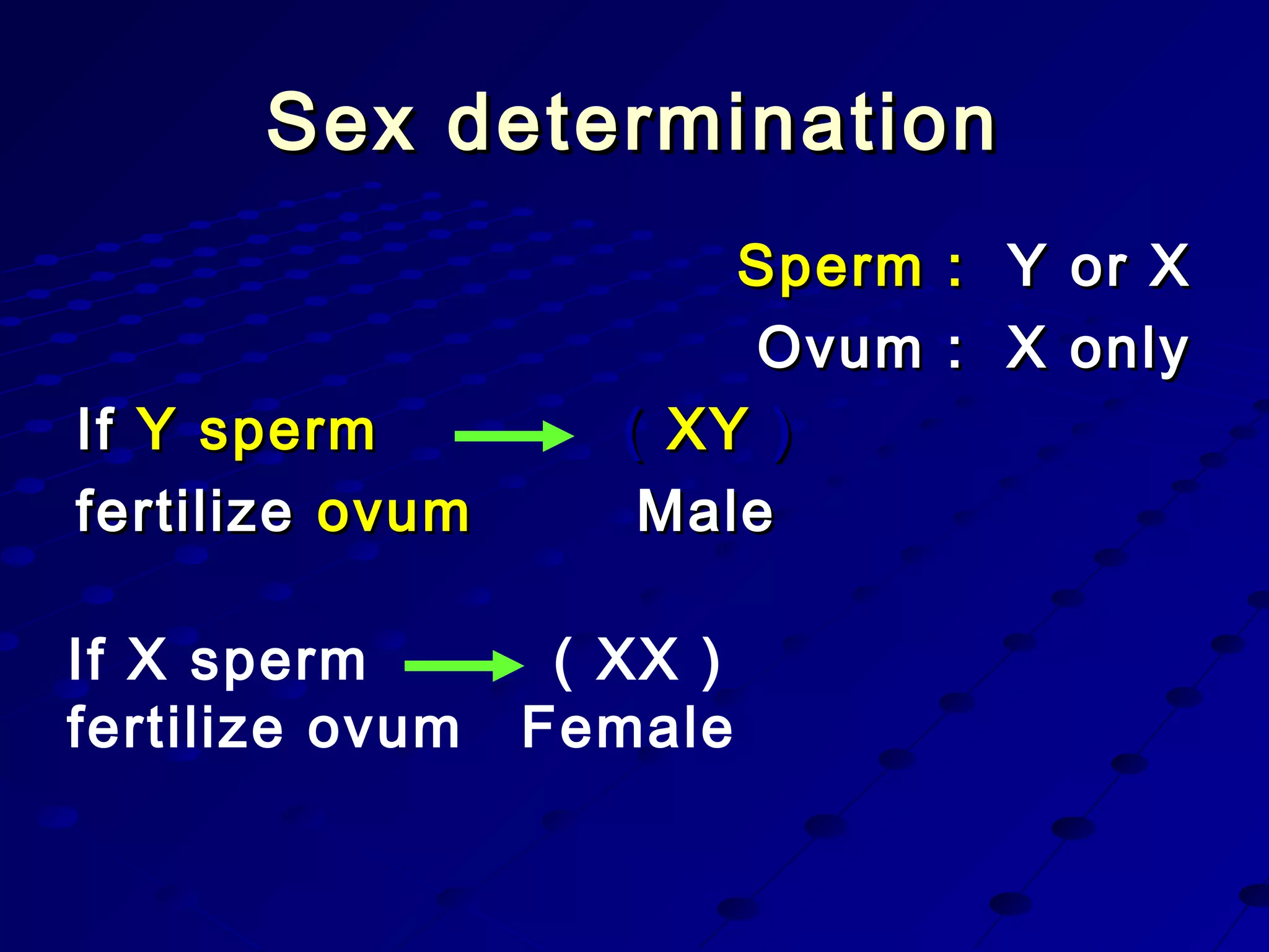 Sex determinationSex determination
Sperm :Sperm : Y or XY or X
Ovum : X onlyOvum : X only
IfIf Y spermY sperm (( XYXY ))
fertilizefertilize ovumovum MaleMale
If X sperm
fertilize ovum
( XX )
Female
 