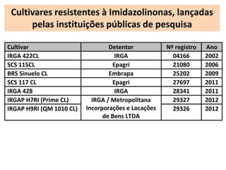 Cultivares resistentes à Imidazolinonas, lançadas 
pelas instituições públicas de pesquisa 
Cultivar Detentor Nº registro Ano 
IRGA 422CL IRGA 04166 2002 
SCS 115CL Epagri 21080 2006 
BRS Sinuelo CL Embrapa 25202 2009 
SCS 117 CL Epagri 27697 2011 
IRGA 428 IRGA 28341 2011 
IRGAP H7RI (Prime CL) IRGA / Metropolitana 
Incorporações e Locações 
de Bens LTDA 
29327 2012 
IRGAP H9RI (QM 1010 CL) 29326 2012 
 