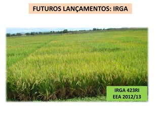 FUTUROS LANÇAMENTOS: IRGA 
IRGA 423RI 
EEA 2012/13 
 