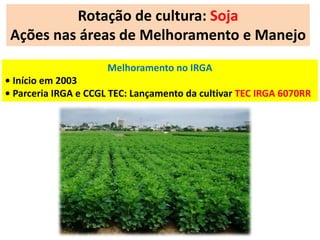 Rotação de cultura: Soja 
Ações nas áreas de Melhoramento e Manejo 
Melhoramento no IRGA 
• Início em 2003 
• Parceria IRGA e CCGL TEC: Lançamento da cultivar TEC IRGA 6070RR 
 