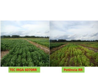 TEC IRGA 6070RR Potência RR 
 