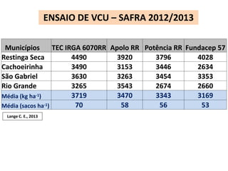 ENSAIO DE VCU – SAFRA 2012/2013 
Municípios TEC IRGA 6070RR Apolo RR Potência RR Fundacep 57 
Restinga Seca 4490 3920 3796 4028 
Cachoeirinha 3490 3153 3446 2634 
São Gabriel 3630 3263 3454 3353 
Rio Grande 3265 3543 2674 2660 
Média (kg ha-1) 3719 3470 3343 3169 
Média (sacos ha-1) 70 58 56 53 
Lange C. E., 2013 
 