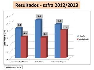 12 
10 
8 
6 
4 
2 
0 
8,4 
10,8 
9,5 
6,0 
5,8 
7,9 
Cachoeira do Sul (2 épocas) Santa Vitória Cachoeirinha(2 épocas) 
Irrigado 
Sem Irrigação 
Rendimento t/ha 
Resultados - safra 2012/2013 
8,4 
6,0 
10,8 
5,8 
9,5 
7,9 
Schoenfeld R., 2013 
 