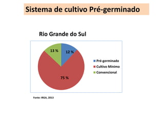 Sistema de cultivo Pré-germinado 
13 % 12 % 
Fonte: IRGA, 2013 
Pré-germinado 
Cultivo Mínimo 
Convencional 
Rio Grande do Sul 
75 % 
 