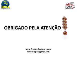 OBRIGADO PELA ATENÇÃO 
Mara Cristina Barbosa Lopes 
maracblopes@gmail.com 

