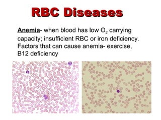 Erythropoiesis: red blood cell production.ppt