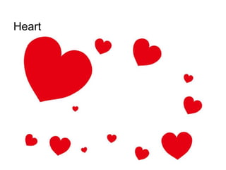 Heart
 
