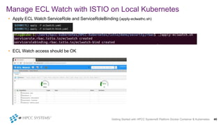 • Apply ECL Watch ServiceRole and ServiceRoleBinding (apply-eclwathc.sh)
• ECL Watch access should be OK
Manage ECL Watch with ISTIO on Local Kubernetes
Getting Started with HPCC Systems® Platform Docker Container & Kubernetes 40
 