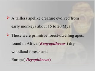 Anthropology and oral health | PPT