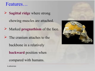 Sadgital Ridge Anthropology and oral health | PPT