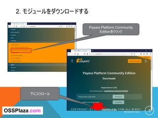 2. モジュールをダウンロードする
C O P Y R I G H T ( C ) 2 0 1 9 O S S P L A Z A . C O M A L L R I G H T
R E S E R V E D . 5
Payara Platform Community
Editionをクリック
OSSPlaza.com
下にスクロール
 