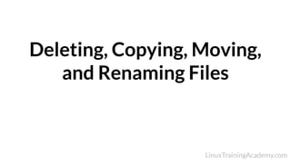 Deleting, Copying, Moving,
and Renaming Files
 