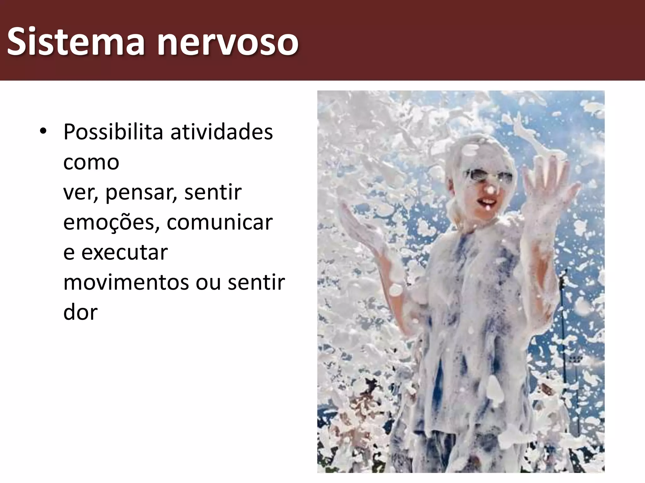 Sistema nervoso
 • Possibilita atividades
   como
   ver, pensar, sentir
   emoções, comunicar
   e executar
   movimentos ou sentir
   dor
 