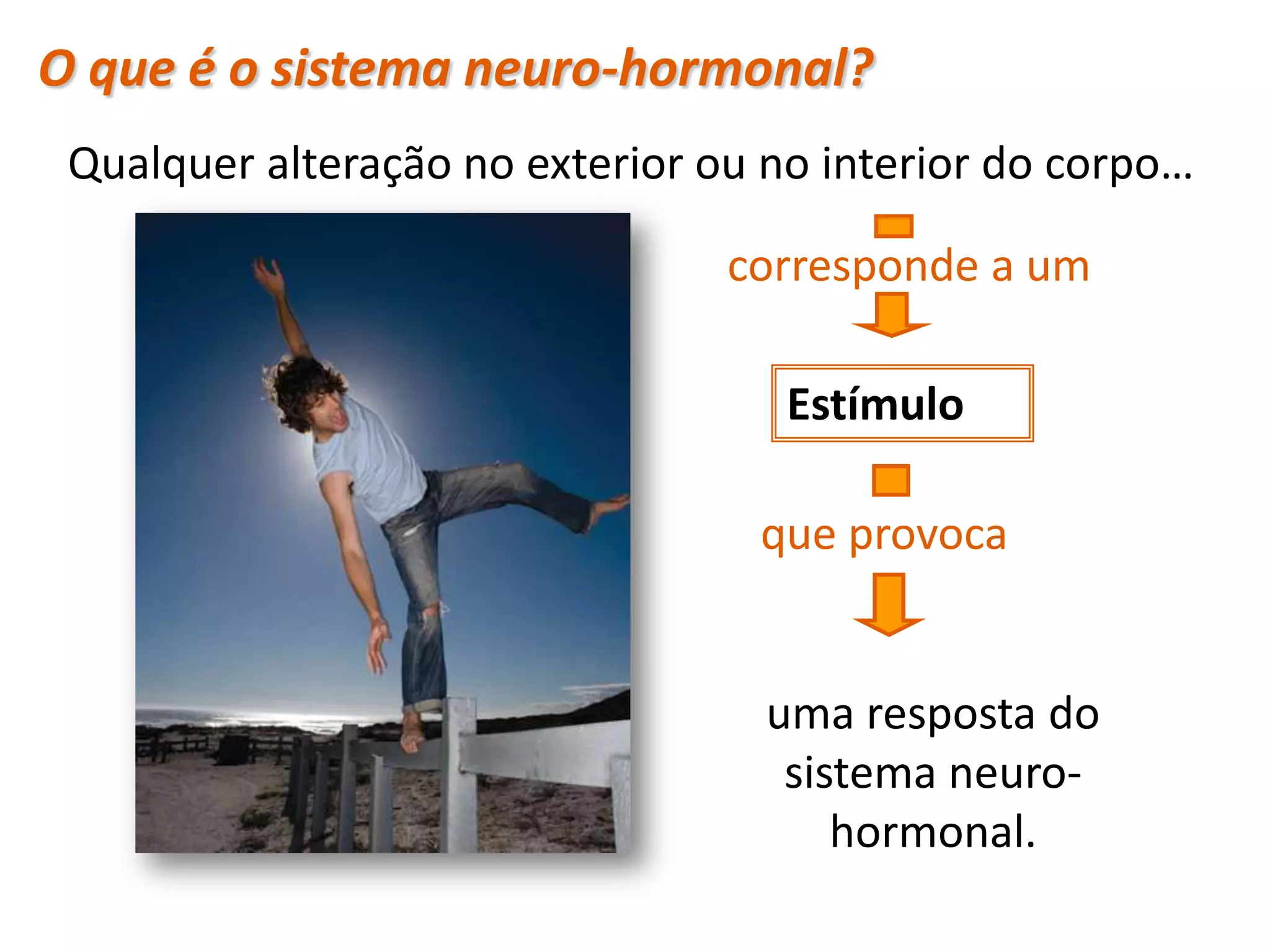 O que é o sistema neuro-hormonal?
 Qualquer alteração no exterior ou no interior do corpo…

                                 corresponde a um

                                    Estímulo

                                  que provoca


                                   uma resposta do
                                    sistema neuro-
                                       hormonal.
 