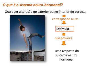 O que é o sistema neuro-hormonal?
Qualquer alteração no exterior ou no interior do corpo…
corresponde a um
Estímulo
que provoca
uma resposta do
sistema neuro-
hormonal.