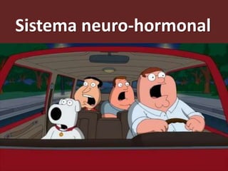 Sistema neuro-hormonal
 