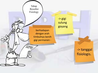 Tahap
Resorbsi
Fisiology
berhadapan
dengan arah
timbulnya benih
gigi permanen -
-> gigi
sulung
goyang
-> tanggal
fisiologis.
 
