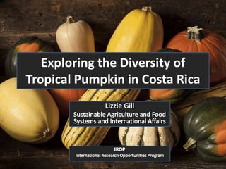 Exploring the Diversity of
Tropical Pumpkin in Costa Rica
 