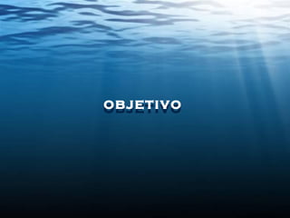 objetivoobjetivo
 