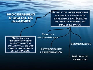 Se vale de herramientas
matemáticas que son
empleadas en técnicas
de procesamiento de
imágenes para:
Realiza una
interpretación
cuantitativa o
cualitativa de los
datos presentes
en la imagen.
Realce y
mejoramiento
Segmentación
Extracción de
la información
Análisis de
la imagen
PROCESAMIENT
O DIGITAL DE
IMAGENES
PROCESAMIENT
O DIGITAL DE
IMAGENES
 