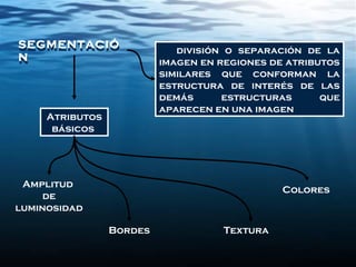 división o separación de la
imagen en regiones de atributos
similares que conforman la
estructura de interés de las
demás estructuras que
aparecen en una imagen
SEGMENTACIÓ
N
SEGMENTACIÓ
N
Textura
Atributos
básicos
Amplitud
de
luminosidad
Colores
Bordes
 