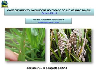 COMPORTAMENTO DA BRUSONE NO ESTADO DO RIO GRANDE DO SUL 
Safra 2012/13 
Eng. Agr. Dr. Gustavo R. Daltrozo Funck 
Fitopatologista EEA / IRGA 
Santa Maria , 16 de agosto de 2013 
 