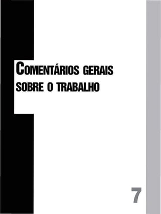 COMENTÁRIOS GERAIS
SOBRE O TRABALHO
 