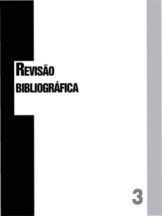 REVISÃO
BIBLIOGRÁFICA
 