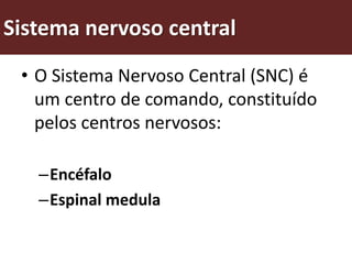 Sistema nervoso central
 • O Sistema Nervoso Central (SNC) é
   um centro de comando, constituído
   pelos centros nervosos:

   –Encéfalo
   –Espinal medula
 