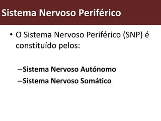 Sistema Nervoso Periférico
 • O Sistema Nervoso Periférico (SNP) é
   constituído pelos:

   –Sistema Nervoso Autónomo
   –Sistema Nervoso Somático
 
