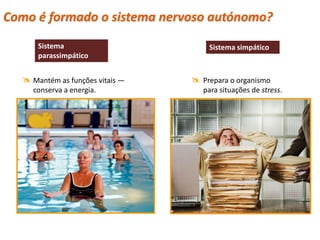 Como é formado o sistema nervoso autónomo?
       Sistema                        Sistema simpático
       parassimpático


    Mantém as funções vitais —    Prepara o organismo
     conserva a energia.             para situações de stress.
 