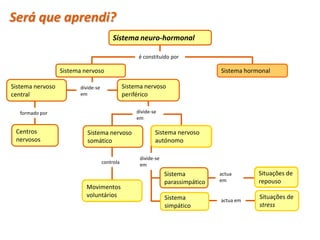 Será que aprendi?
                                         Sistema neuro-hormonal

                                                     é constituído por

                  Sistema nervoso                                                 Sistema hormonal

Sistema nervoso         divide-se              Sistema nervoso
central                 em                     periférico

   formado por                                      divide-se
                                                    em

 Centros                   Sistema nervoso                  Sistema nervoso
 nervosos                  somático                         autónomo

                                                     divide-se
                                    controla         em
                                                                 Sistema          actua       Situações de
                                                                 parassimpático   em          repouso
                           Movimentos
                           voluntários                           Sistema                      Situações de
                                                                                  actua em
                                                                 simpático                    stress
 