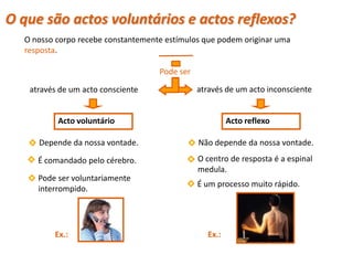 O que são actos voluntários e actos reflexos?
  O nosso corpo recebe constantemente estímulos que podem originar uma
  resposta.

                                    Pode ser

   através de um acto consciente               através de um acto inconsciente


          Acto voluntário                               Acto reflexo

     Depende da nossa vontade.                 Não depende da nossa vontade.

     É comandado pelo cérebro.                 O centro de resposta é a espinal
                                               medula.
     Pode ser voluntariamente
                                               É um processo muito rápido.
     interrompido.




         Ex.:                                    Ex.:
 