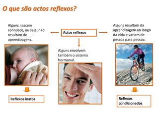 O que são actos reflexos?

 Alguns nascem                               Alguns resultam da
 connosco, ou seja, não                      aprendizagem ao longo
                            Actos reflexos
 resultam de                                 da vida e variam de
 aprendizagens.                              pessoa para pessoa.

                          Alguns envolvem
                          também o sistema
                          hormonal.




  Reflexos inatos                               Reflexos
                                                condicionados
 