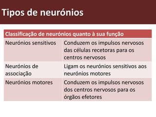 Tipos de neurónios
Classificação de neurónios quanto à sua função
Neurónios sensitivos Conduzem os impulsos nervosos
                       das células recetoras para os
                       centros nervosos
Neurónios de           Ligam os neurónios sensitivos aos
associação             neurónios motores
Neurónios motores      Conduzem os impulsos nervosos
                       dos centros nervosos para os
                       órgãos efetores
 
