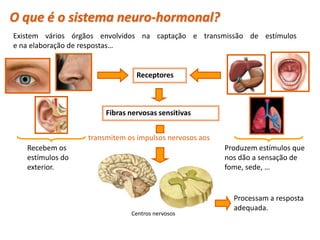 O que é o sistema neuro-hormonal?
Existem vários órgãos envolvidos na captação e transmissão de estímulos
e na elaboração de respostas…


                                         Receptores



                                Fibras nervosas sensitivas


                           transmitem os impulsos nervosos aos
     Recebem os                                                  Produzem estímulos que
     estímulos do                                                nos dão a sensação de
     exterior.                                                   fome, sede, …


                                                                   Processam a resposta
                                                                   adequada.
                                       Centros nervosos

 Planeta Terra — 9.º ano
 