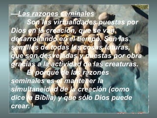 — Las razones seminales Son las virtualidades puestas por Dios en la creación, que se van desarrollando en el tiempo. Son las semillas de todas las cosas futuras, que son desveladas y puestas por obra gracias a la actividad de las creaturas. El porqué de las razones seminales es el mantener la simultaneidad de la creación (como dice la Biblia) y que sólo Dios puede crear. 