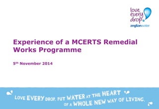 Experience of a MCERTS Remedial
Works Programme
5th November 2014
 
