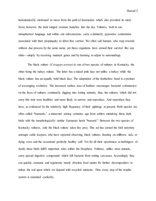 Harrod 2
lackadaisically motivated to move from the path of destruction which also provided its meal.
Soon, however, the dark winged creature launches into the sky. Vultures, both in our
metaphorical language and within our subconscious, carry a distinctly pejorative connotation
associated with their propinquity to labor-free carrion. We often call humans who reap rewards
without due process by the same name, yet these organisms have earned their survival like any
other—simply by receiving mutated genes and by learning to adjust to surroundings.
The black vulture (Coragyps atratus) is one of two species of vultures in Kentucky, the
other being the turkey vulture. The latter has a naked pink face not unlike a turkey while the
black vulture has an equally bald black face. The adaptation of the featherless head is a product
of scavenging evolution. The increased surface area of feathers encourages bacterial colonization
on the faces of vultures continually digging into rotting animals; thus, the vultures which did not
carry this trait were healthier and more likely to survive and reproduce. And reproduce they
have, as evidenced by the relatively high frequency of their sightings at present. Both species are
often called “buzzards,” a misnomer arising centuries ago from settlers mistaking these dark
birds with the morphologically similar European hawk “bussard.” Between the two species of
Kentucky vultures, only the black vulture takes live prey. This act has earned the bird notoriety
amongst cattle keepers, who have reported observing black vultures feasting on stillborn, sick, or
dying cows and the occasional perfectly healthy calf. Yet for all their spookiness as harbingers of
death, these birds fulfill important roles within the biosphere. Vultures, unlike most animals,
carry special digestive compounds which kill bacteria from rotting carcasses. Accordingly they
can quickly consume and regenerate nearly obsolete food matter for further decomposition to
imbue the soil upon which we depend with recycled nutrients. Thus every step of the trophic
system is sustained cyclically.
 