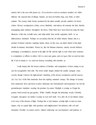Harrod 4
attacks; this is the case with poison ivy. Toxicodendron radicans produces urushiol oil, which
inflames the exposed skin of allergic humans yet does not bother dogs, cats, birds, or other
animals. The creamy white berries produced by the plant actually provide nutrition for forest
critters. Downy woodpeckers, robins, crows, bluebirds, and turkeys all consume the fruit, thereby
propagating plant embryos throughout the forest. Other birds have been observed using the hairy
filaments of the vine to build nests, and white-tailed deer eat the vegetation itself—to no
inflammatory detriment. Perhaps we can deduce that the oil which irritates human skin is a
product of natural selection targeting human abuse. In this case, our initial hatred of the plant
should be shamed, discredited. Poison ivy, like the Batman character, merely erected defenses
prolonging a serendipitous present in the fight for life and the right to exist when mere existence
is a temptation or affront to others. Life is a zero-sum game, and so it goes. But we need not take
life if not to sustain it—we need not destroy everything that unsettles us.
I walk deeper into the breezy embrace of families and companions of trees, tuning in my
ears for recognizable bird calls. The storm earlier largely hushed the usually energetic avian
crowds, though I discern the high-pitched chuckling of the downy woodpecker and the raucous
Jay! Jay! Jay! of the blue namesake from the expiring autumnal canopy. The change of scenery
from manicured lawn and dorm to native landscape has both placated and invigorated me, but the
groundskeeper mandates vacating the premises by sunset. Daylight is waning as I begin the
journey back toward my gas-guzzler. While I shuffle through the darkening woods, I forcibly
recognize and ignore my instinct to jump at every leaf rustle. It is, after all, in our diurnal nature
to be wary of the absence of light. Perhaps this is why humans worship light to such an acute
degree, why we equate light with goodness and enlightenment but darkness with evil and
deception. Possibly we cannot survive without embracing our own humanity and tendency to
 